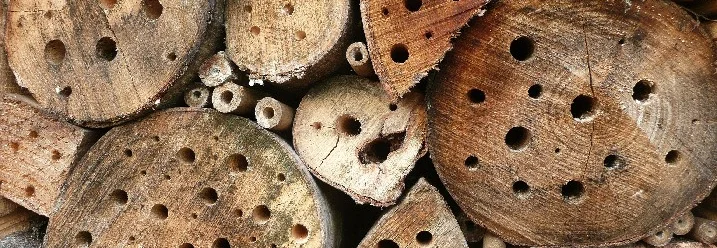 Insektenhotel aus Holz